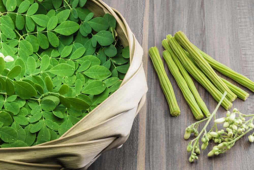 Moringa Powder: The Superfood You Need in Your Life