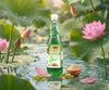 SHARBAT E ELAICHI